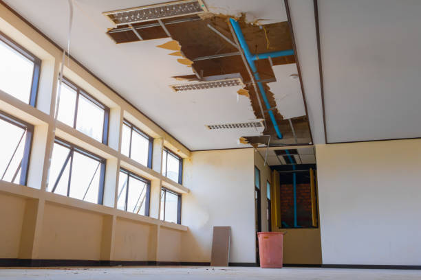 Best Water damage restoration near me  in Glen Ellen, CA