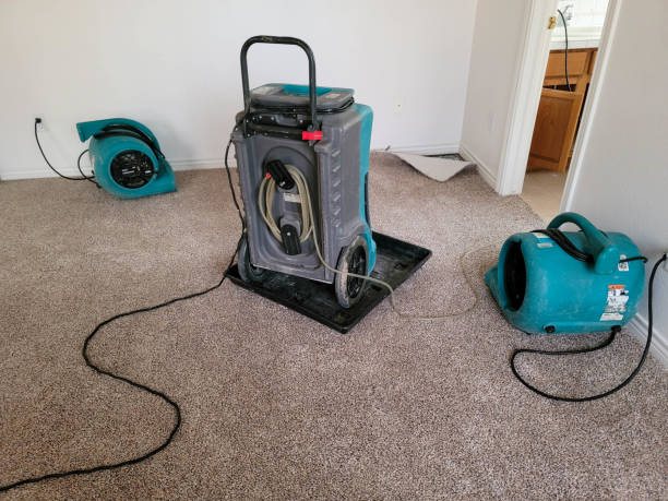 Best Flood restoration services  in Glen Ellen, CA