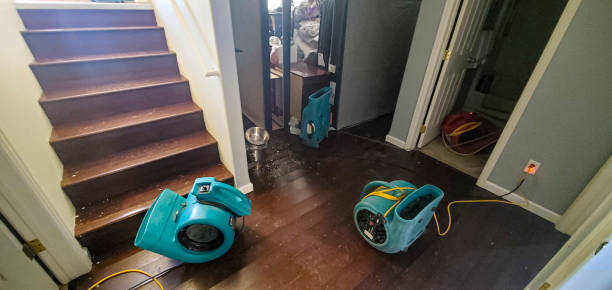 Best Water damage restoration services  in Glen Ellen, CA