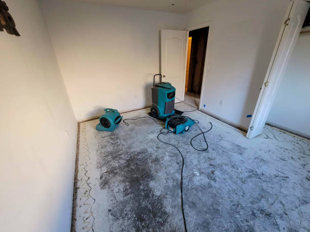 Best Basement water damage restoration  in Glen Ellen, CA