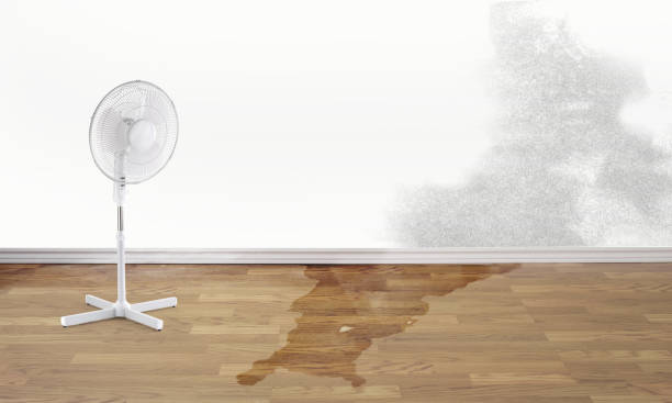 24/7 water damage repair in CA