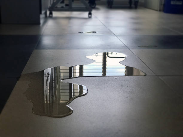 Best 24/7 water damage repair  in Glen Ellen, CA