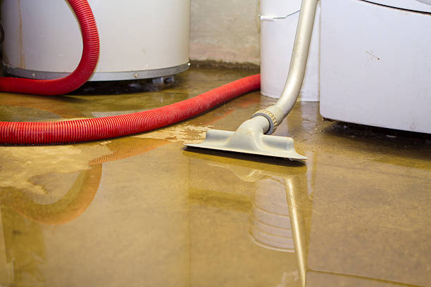 Best Water damage restoration process  in Glen Ellen, CA