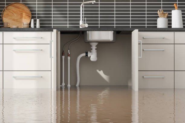 Best Flood damage cleanup  in Glen Ellen, CA