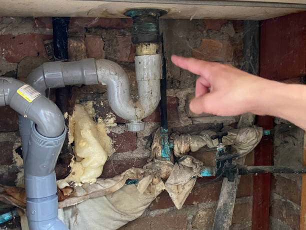 Best Local water damage restoration  in Glen Ellen, CA
