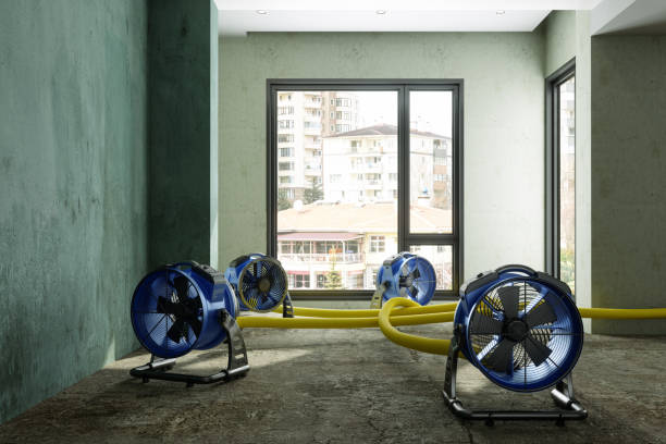 Best Water damage restoration company  in Glen Ellen, CA